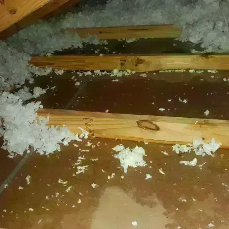 Attic Water Damage in Delta County, CO