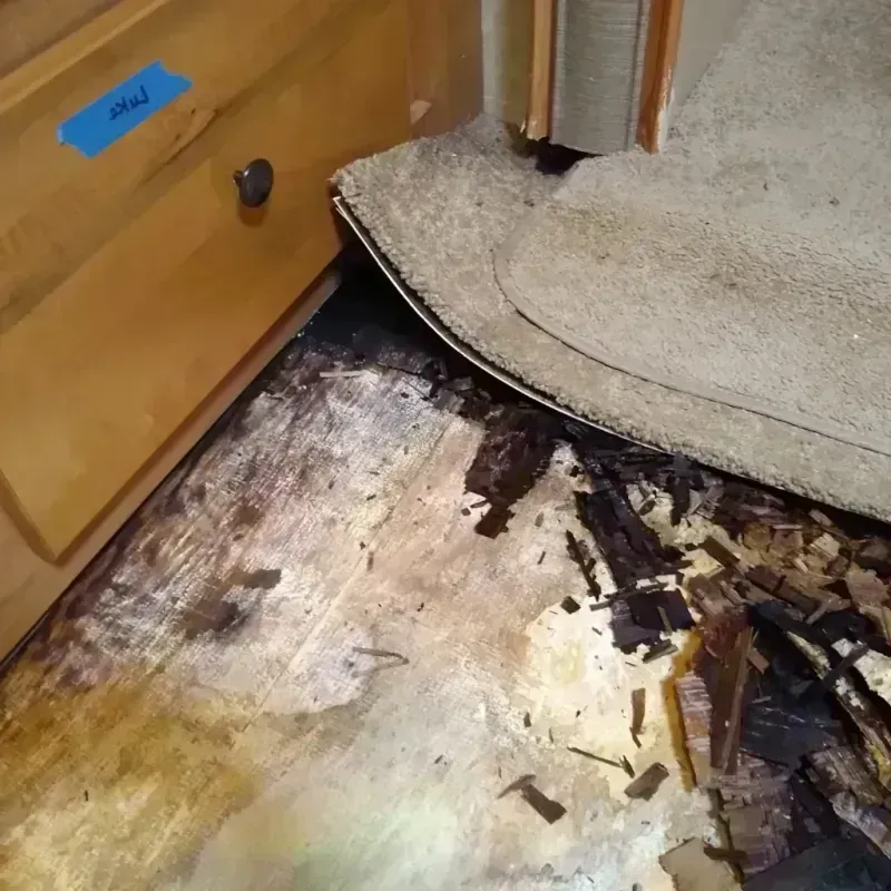 Wood Floor Water Damage in Delta County, CO